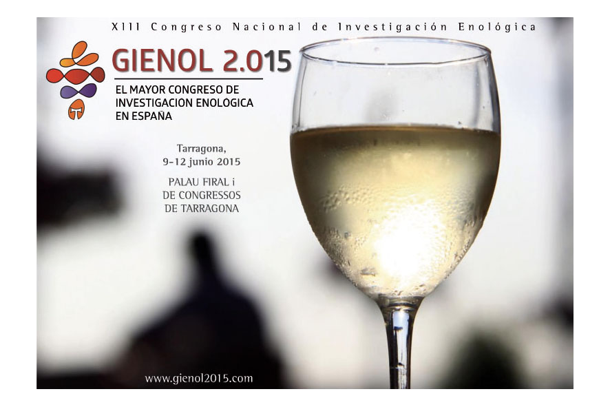 TDI participa en el XIII Congreso Gienol 2015